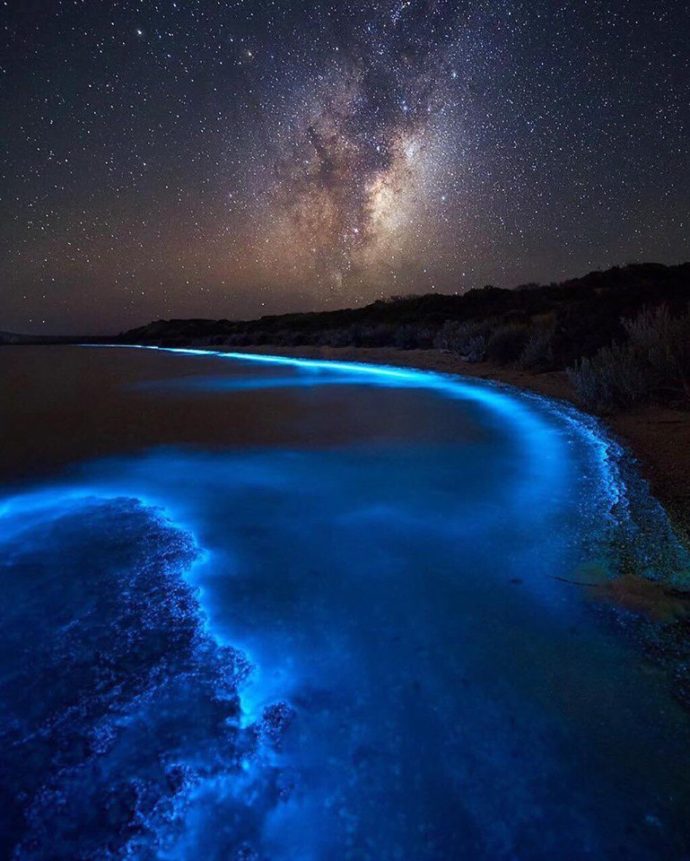 Светящийся планктон, Светящиеся динофлагелляты, светящиеся берега, светящийся берег