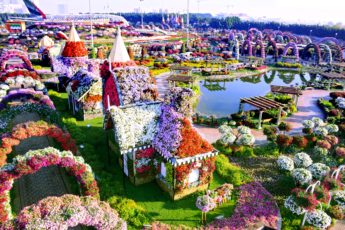 дубайский чудо сад, куда поехать на выходных в дубай, Парк цветов "Dubai Miracle Garden",Dubai Miracle Garden, парк цветов в Дубай, куда поехать на выходные заграницей, куда поехать на выходные в европе