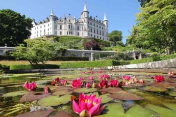 Замок Данробин (Dunrobin Castle) Шотландия, куда поехать на выходные в Шотландии, куда поехать на выходные в Европе, куда слетать на выходные в Европу, Соколиная охота в Европе, соколиная охота посмотреть