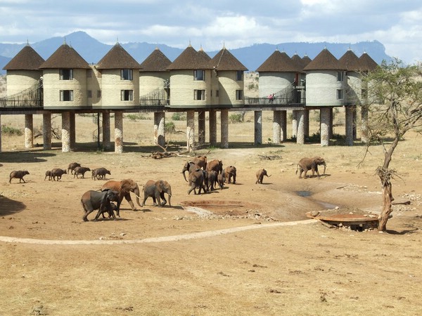 куда поехать на выходные в Африку, куда слетать на выходные в Африку, интересные места в Африке, отель с водопоем для животных, отель где можно увидеть животных, необычный отель, лучший отель