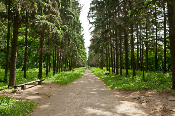 Краснокутский дендропарк экскурсия, как добраться, фото