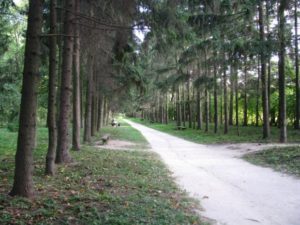 краснокутский дендропарк, куда поехать на выходные