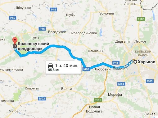 Как добраться в Краснокутський дендропарк из Харькова, куда поехать на выходные