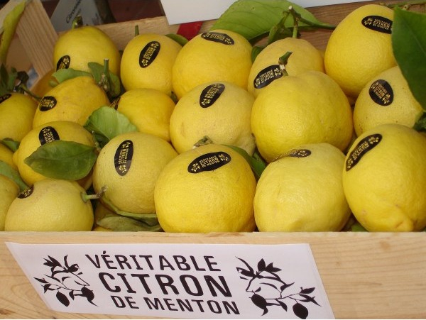  Фестиваль лимонов в Ментоне, фестиваль лимонов в ментоне фото