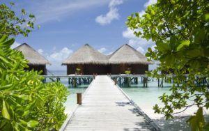 мальдивы mirihi island resort фото отзывы