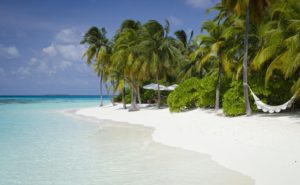 мальдивы mirihi island resort фото отзывы