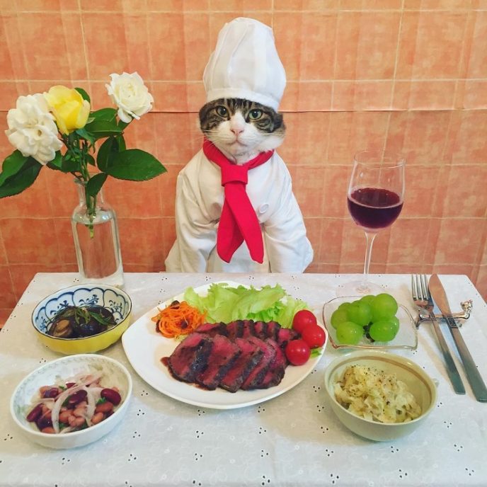Японка каждый вечер наряжает своего кота для совместного ужина