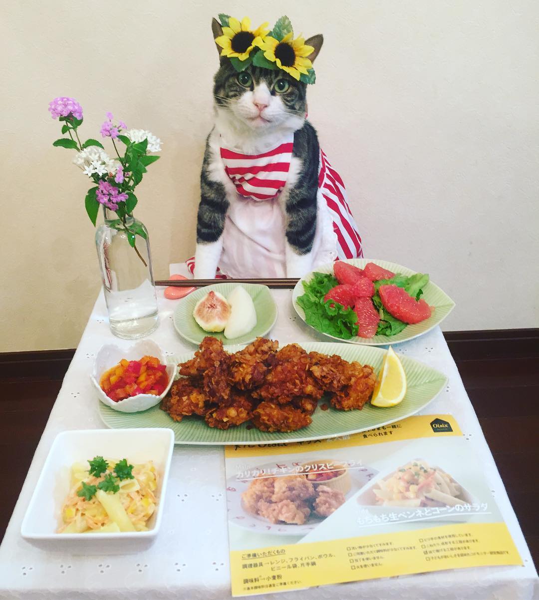 японка наряжает кота на ужин