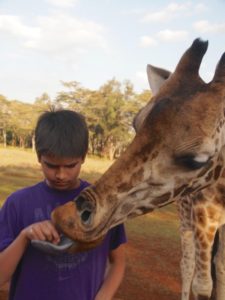 Giraff Manor, отель с жирафами