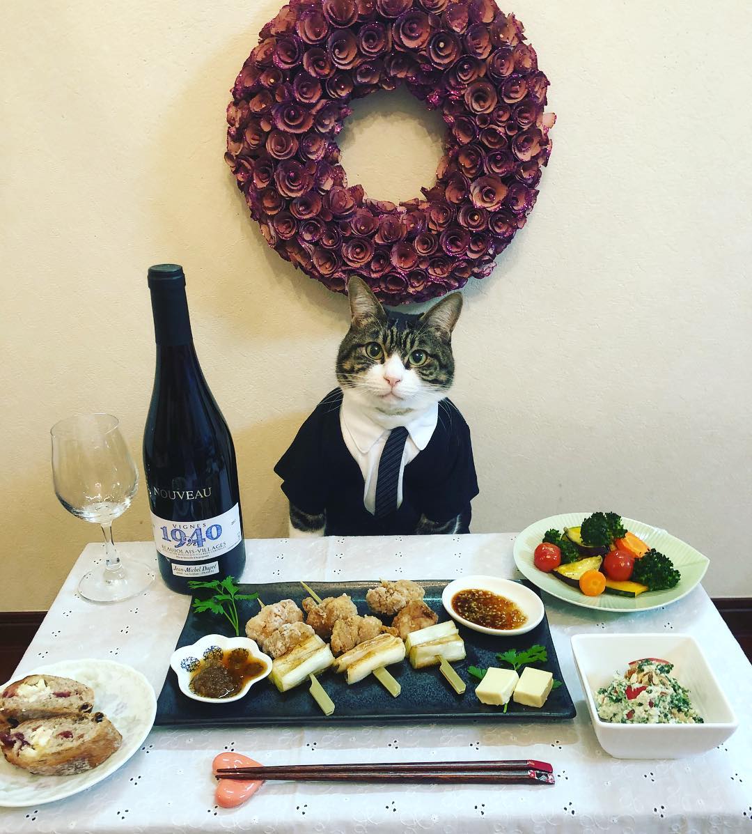 японка наряжает кота на ужин