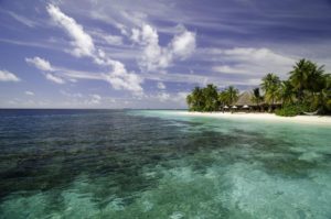 мальдивы mirihi island resort фото отзывы