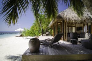 мальдивы mirihi island resort фото отзывы