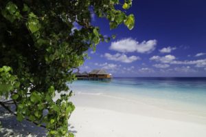 мальдивы mirihi island resort фото отзывы