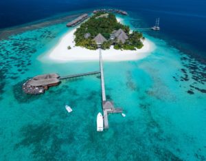 мальдивы mirihi island resort фото отзывы