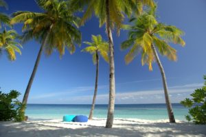 мальдивы mirihi island resort фото отзывы