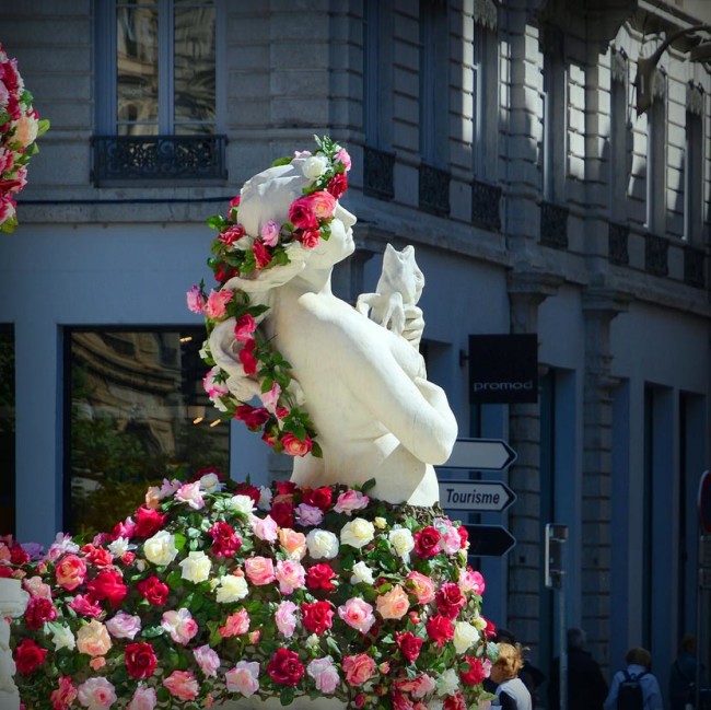 Фестиваль роз, фестиваль роз в Лионе, фестиваль в Лионе, розы Лиона
