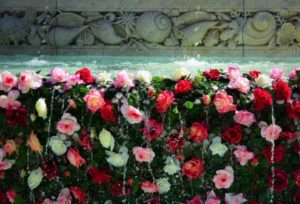 Фестиваль роз, фестиваль роз в Лионе, фестиваль в Лионе, розы Лиона