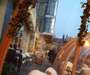 Необычный ресторан в Лондоне, ресторан в Лондоне, хороший ресторан в лондоне, ресторан иглу, ресторан с видом на тауэрский мост