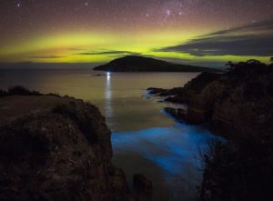 Светящийся планктон, Светящиеся динофлагелляты, светящиеся берега, светящийся берег