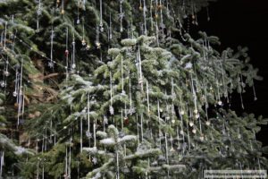 рождественская елка в Цюрихе, рождественская елка сваровски, куда поехать на выходные, елка Swarovski