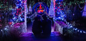 парк Капилано, мост Капилано, достопримечательности Ванкувера, куда поехать на выходные, мост Капилано Ванкувер