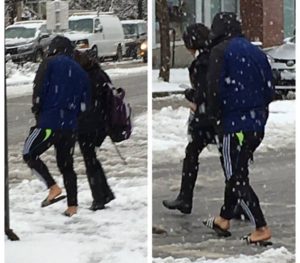 куда поехать на выходные, канада приколы, приколы, туристические приколы, достопримечательности канады