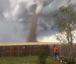 куда поехать на выходные, канада приколы, приколы, туристические приколы, достопримечательности канады