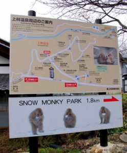 парк Джигокудани, парк снежных обезьян,, куда поехать на выходные в японии, куда поехать на выходные,