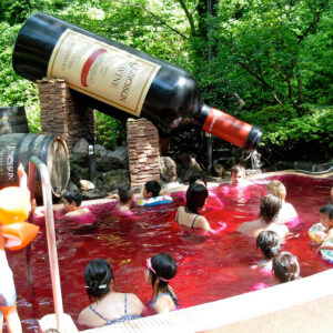 купание в вине япония, куда поехать на выходные, парк Хакон Япония