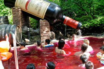 купание в вине япония, куда поехать на выходные, парк Хакон Япония