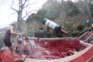 купание в вине япония, куда поехать на выходные, парк Хакон Япония