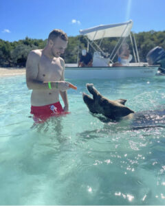 Остров свиней, остров свиней на Багамах, плавающие свиньи
