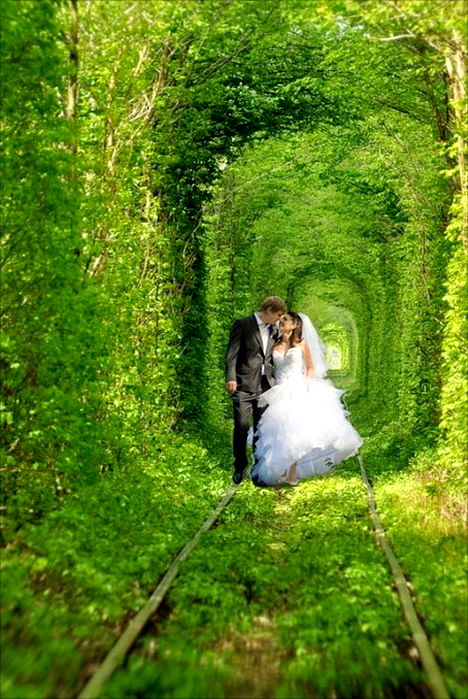 тоннель любви,тоннель любви в разное время года,тоннель любви куда поехать на выходные, куда поехать на выходные украина, куда поехать на выходные Ровны