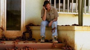 миграция красных крабов, миграция красных крабов на острове Рождества, куда поехать на выходные Австралия,, куда поехать на выходные остров Рождества