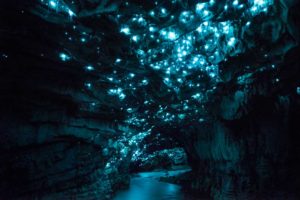 Пещеры Вайтомо (Waitomo Caves),Пещеры Вайтомо Новая Зеландия, куда поехать на выходные в Новой Зеландии, достопримечательности Новой Зеландии, как добраться пещеры Вайтомо