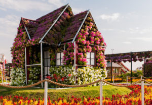 дубайский чудо сад, куда поехать на выходных в дубай, Парк цветов "Dubai Miracle Garden",Dubai Miracle Garden, парк цветов в Дубай, куда поехать на выходные заграницей, куда поехать на выходные в европе