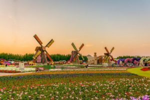 дубайский чудо сад, куда поехать на выходных в дубай, Парк цветов "Dubai Miracle Garden",Dubai Miracle Garden, парк цветов в Дубай, куда поехать на выходные заграницей, куда поехать на выходные в европе