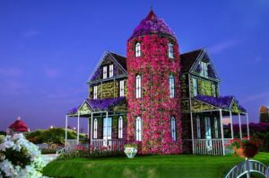 дубайский чудо сад, куда поехать на выходных в дубай, Парк цветов "Dubai Miracle Garden",Dubai Miracle Garden, парк цветов в Дубай, куда поехать на выходные заграницей, куда поехать на выходные в европе
