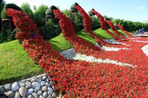 дубайский чудо сад, куда поехать на выходных в дубай, Парк цветов "Dubai Miracle Garden",Dubai Miracle Garden, парк цветов в Дубай, куда поехать на выходные заграницей, куда поехать на выходные в европе