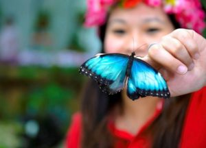 дубайский чудо сад, куда поехать на выходных в дубай, Парк цветов "Dubai Miracle Garden",Dubai Miracle Garden, парк цветов в Дубай, куда поехать на выходные заграницей, куда поехать на выходные в европе