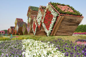дубайский чудо сад, куда поехать на выходных в дубай, Парк цветов "Dubai Miracle Garden",Dubai Miracle Garden, парк цветов в Дубай, куда поехать на выходные заграницей, куда поехать на выходные в европе