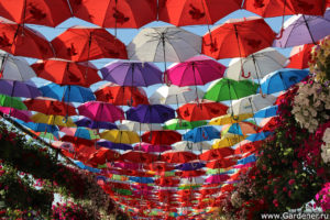 дубайский чудо сад, куда поехать на выходных в дубай, Парк цветов "Dubai Miracle Garden",Dubai Miracle Garden, парк цветов в Дубай, куда поехать на выходные заграницей, куда поехать на выходные в европе