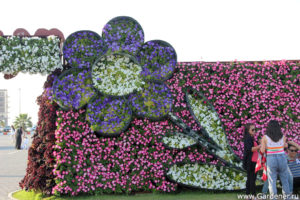 дубайский чудо сад, куда поехать на выходных в дубай, Парк цветов "Dubai Miracle Garden",Dubai Miracle Garden, парк цветов в Дубай, куда поехать на выходные заграницей, куда поехать на выходные в европе