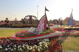 дубайский чудо сад, куда поехать на выходных в дубай, Парк цветов "Dubai Miracle Garden",Dubai Miracle Garden, парк цветов в Дубай, куда поехать на выходные заграницей, куда поехать на выходные в европе