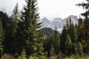 санта мадалена, куда поехать на выходные в европу, куда слетать на выходные в европу, куда поехать на выходные в европе, куда поехать на выходные в италии, santa maddalena деревня, santa-maddalena Италия