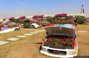 дубайский чудо сад, куда поехать на выходных в дубай, Парк цветов "Dubai Miracle Garden",Dubai Miracle Garden, парк цветов в Дубай, куда поехать на выходные заграницей, куда поехать на выходные в европе