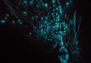Пещеры Вайтомо (Waitomo Caves),Пещеры Вайтомо Новая Зеландия, куда поехать на выходные в Новой Зеландии, достопримечательности Новой Зеландии, как добраться пещеры Вайтомо