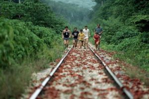 миграция красных крабов, миграция красных крабов на острове Рождества, куда поехать на выходные Австралия,, куда поехать на выходные остров Рождества
