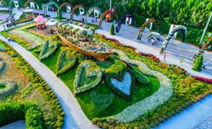 дубайский чудо сад, куда поехать на выходных в дубай, Парк цветов "Dubai Miracle Garden",Dubai Miracle Garden, парк цветов в Дубай, куда поехать на выходные заграницей, куда поехать на выходные в европе