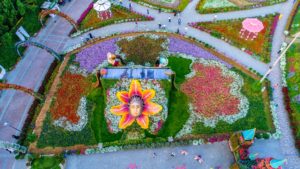 дубайский чудо сад, куда поехать на выходных в дубай, Парк цветов "Dubai Miracle Garden",Dubai Miracle Garden, парк цветов в Дубай, куда поехать на выходные заграницей, куда поехать на выходные в европе